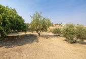 Xalet independent amb terreny en venda a la España, Moraleda de Zafayona, ref.: TR409531 foto
