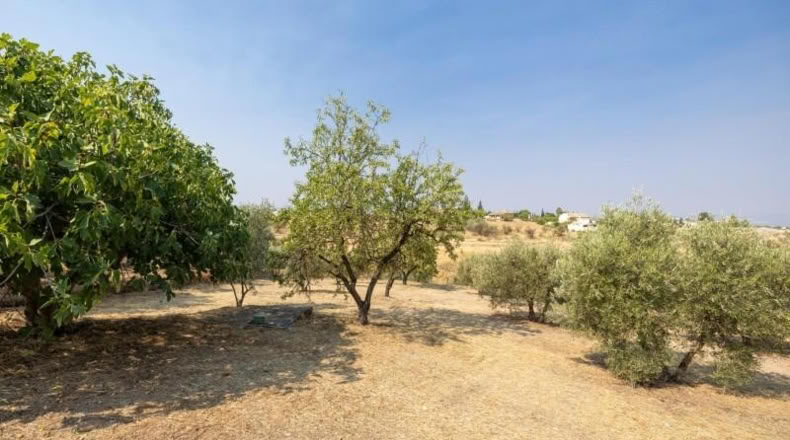 Granada - Moraleda de Zafayona - 2600m2