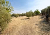 Xalet independent amb terreny en venda a la España, Moraleda de Zafayona, ref.: TR409531 foto