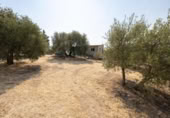 Xalet independent amb terreny en venda a la España, Moraleda de Zafayona, ref.: TR409531 foto