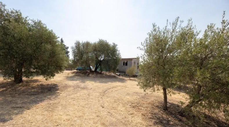 Granada - Moraleda de Zafayona - 2600m2