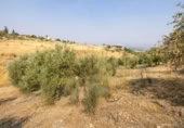 Xalet independent amb terreny en venda a la España, Moraleda de Zafayona, ref.: TR409531 foto