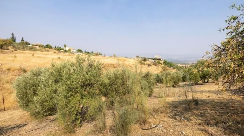 Granada - Moraleda de Zafayona - 2600m2