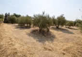 Xalet independent amb terreny en venda a la España, Moraleda de Zafayona, ref.: TR409531 foto