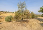 Xalet independent amb terreny en venda a la España, Moraleda de Zafayona, ref.: TR409531 foto