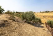 Xalet independent amb terreny en venda a la España, Moraleda de Zafayona, ref.: TR409531 foto