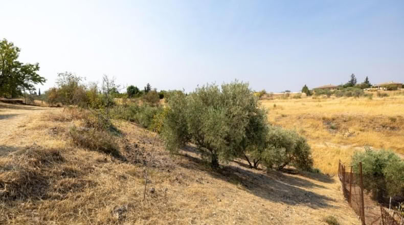 Granada - Moraleda de Zafayona - 2600m2