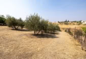 Xalet independent amb terreny en venda a la España, Moraleda de Zafayona, ref.: TR409531 foto