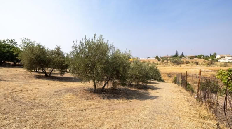 Granada - Moraleda de Zafayona - 2600m2