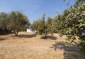 Xalet independent amb terreny en venda a la España, Moraleda de Zafayona, ref.: TR409531 foto