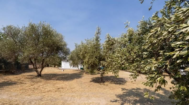 Granada - Moraleda de Zafayona - 2600m2