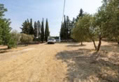 Xalet independent amb terreny en venda a la España, Moraleda de Zafayona, ref.: TR409531 foto
