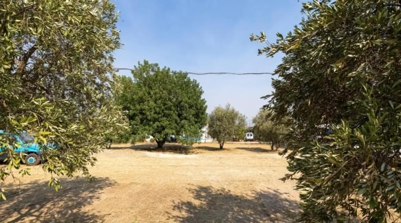 Granada - Moraleda de Zafayona - 2600m2