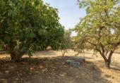 Xalet independent amb terreny en venda a la España, Moraleda de Zafayona, ref.: TR409531 foto