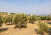 Xalet independent amb terreny en venda a la España, Moraleda de Zafayona, ref.: TR409531 foto