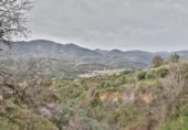 Casa de camp amb terreny en venda a la España, Melegís, ref.: TR409537 foto