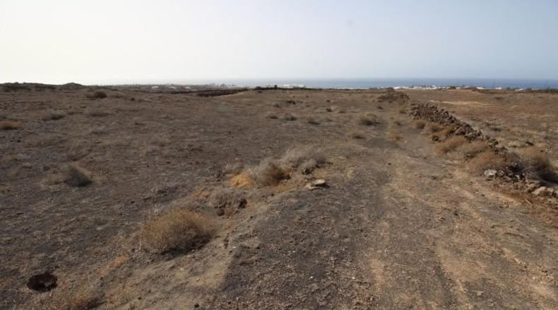 Las Palmas - Tías - 14837m2