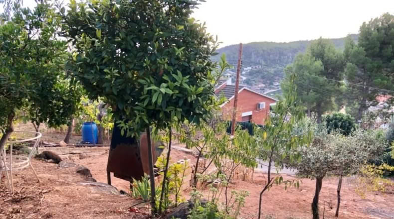Barcelona - Corbera de Llobregat - 403m2