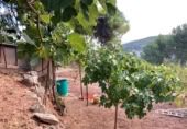 Sòl urbà en venda a la España, Corbera de Llobregat, ref.: TR120009 foto