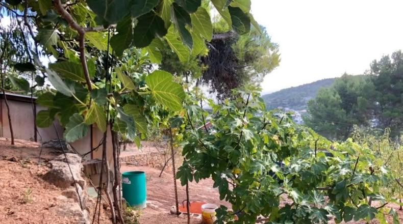 Barcelona - Corbera de Llobregat - 403m2