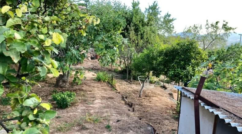 Barcelona - Corbera de Llobregat - 403m2