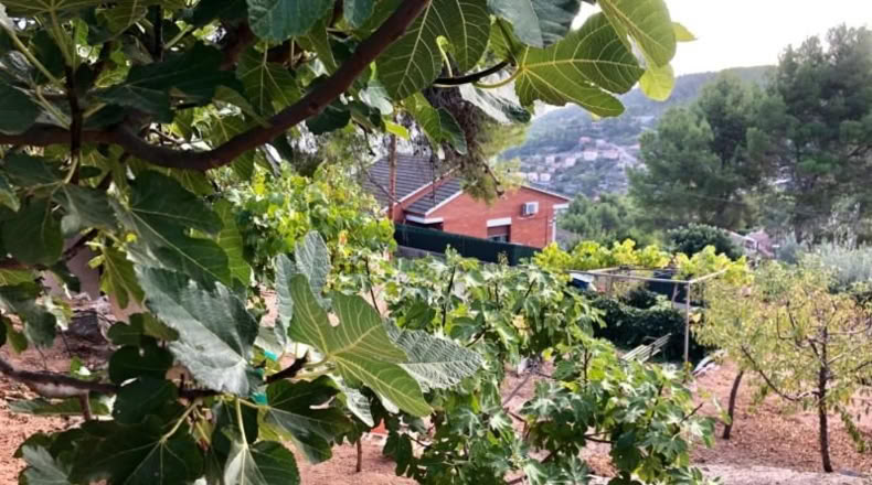 Barcelona - Corbera de Llobregat - 403m2