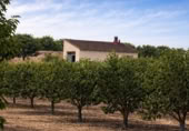 Casa de camp amb terreny en venda a la España, Benigànim, ref.: TR409543 foto