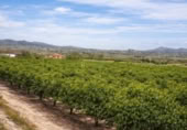 Casa de camp amb terreny en venda a la España, Benigànim, ref.: TR409543 foto