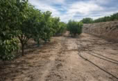 Casa de camp amb terreny en venda a la España, Benigànim, ref.: TR409543 foto