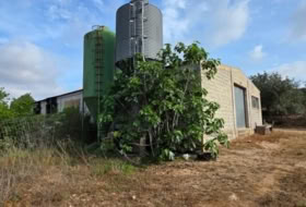 el Perelló 956&nbsp;м²