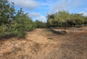 el Perelló 956&nbsp;м²