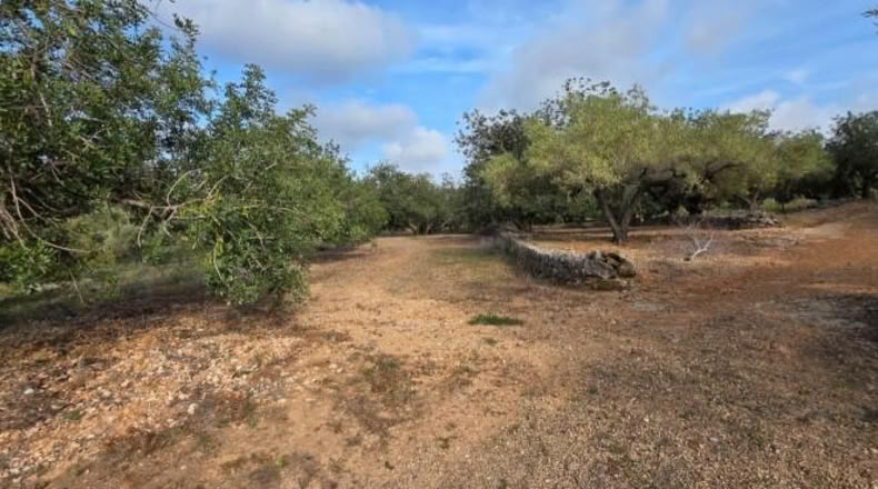 Tarragona - el Perelló - 956m2
