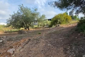 el Perelló 956&nbsp;м²