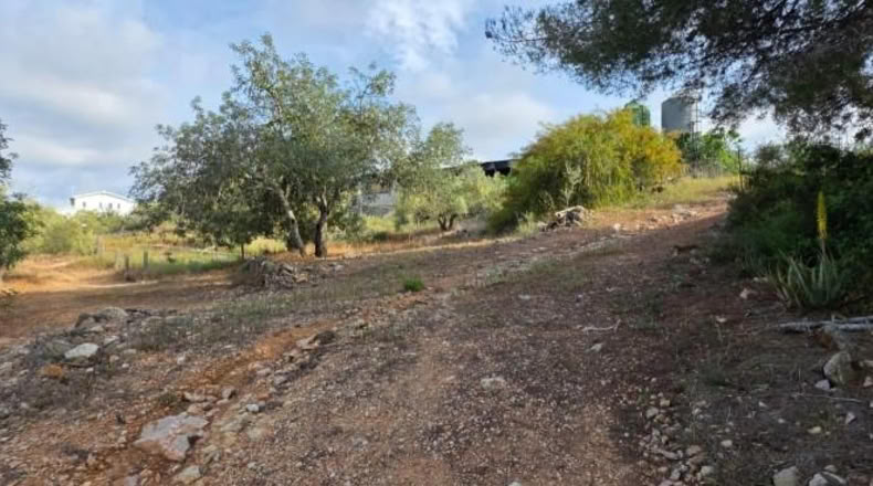 Tarragona - el Perelló - 956m2