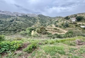 Campo-Mijas 8645&nbsp;m² 