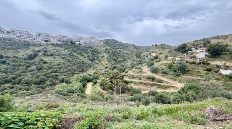 Malaga - Mijas - 8645m2