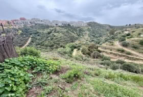 Campo-Mijas 8645&nbsp;m² 