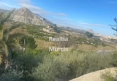 Casa de campo con terreno en venta en la España, Blanca, ref: TR142809 foto