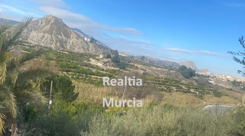 Murcia - Blanca - 5000m2