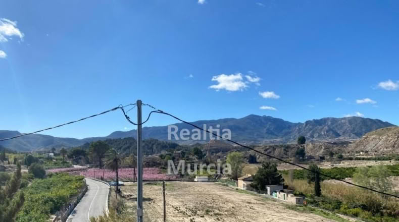 Murcia - Blanca - 5000m2