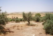 Land suitable for development for sale on España, Gabia Grande, ref: TR409563 photo