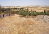 Land suitable for development for sale on España, Gabia Grande, ref: TR409563 photo