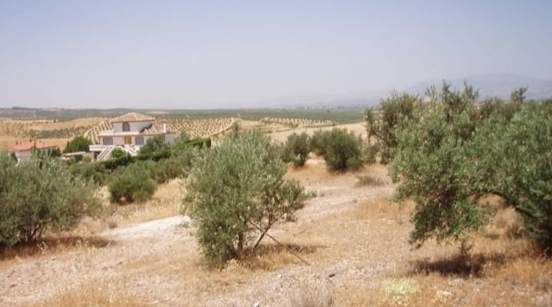 Granada - Gabia Grande - 6000m2
