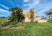 Country house with land for sale on España, Montuïri, ref: TR409569 photo