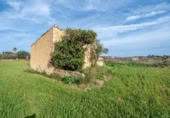 Country house with land for sale on España, Montuïri, ref: TR409569 photo