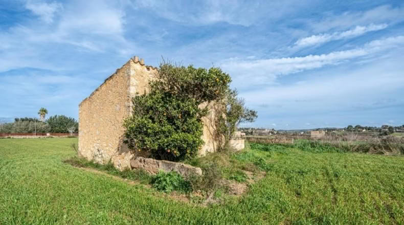 Islas Baleares - Montuïri - 7103m2