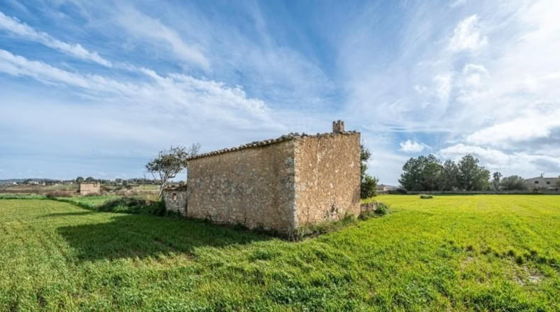 Islas Baleares - Montuïri - 7103m2