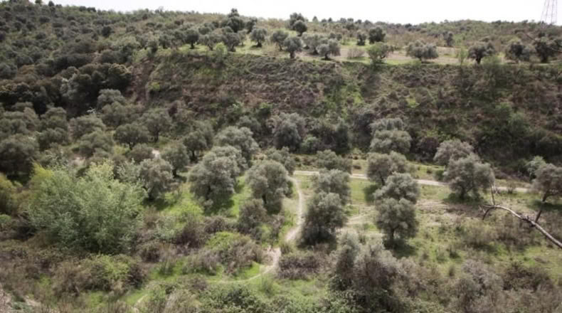 Granada - Víznar - 113000m2
