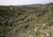 Xalet independent amb terreny en venda a la España, Víznar, ref.: TR409576 foto