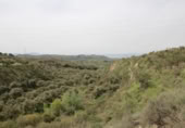 Xalet independent amb terreny en venda a la España, Víznar, ref.: TR409576 foto